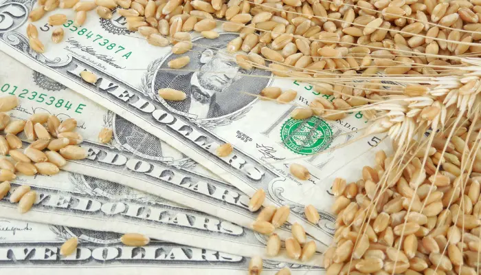 Ações do agronegócio alimentar e como investir na Bolsa