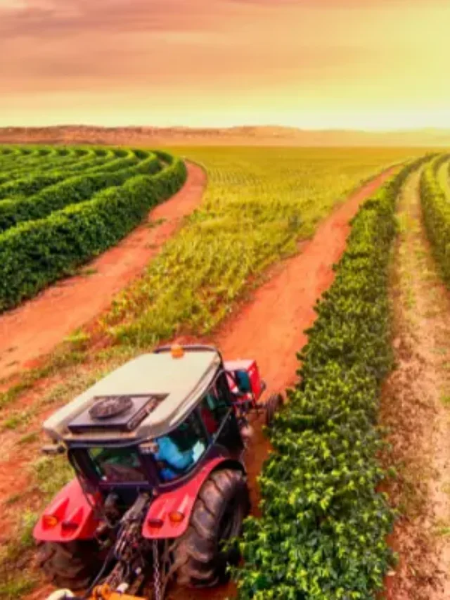 Agronegócio do Café saiba como obter financiamento