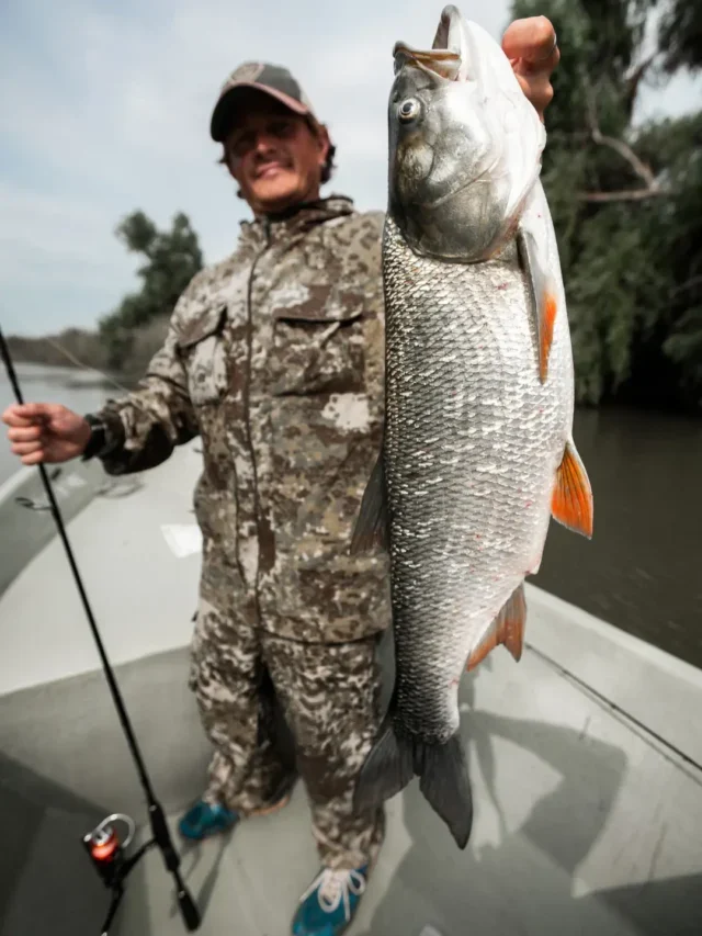 Pescador amador saiba como adquirir o registro