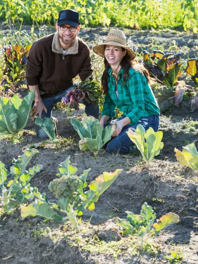 CONHEÇA O SEGREDO DA AGRICULTURA FAMILIAR