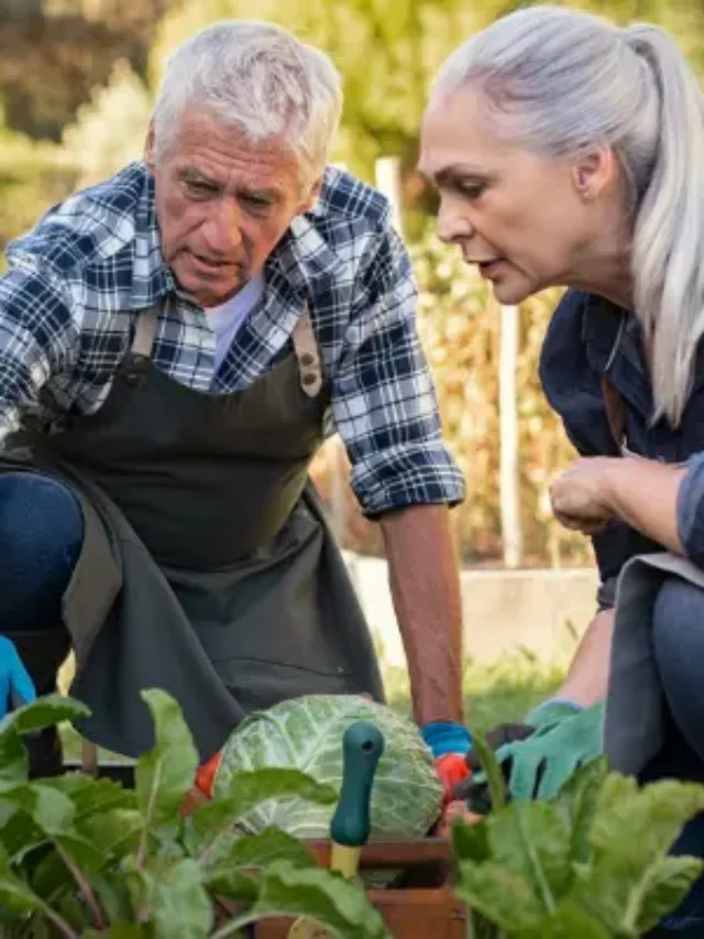 Horta Orgânica em Casa? Aprenda como Plantar de Forma Fácil