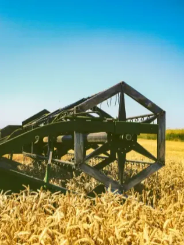 Descubra quais países são os maiores produtores agrícolas