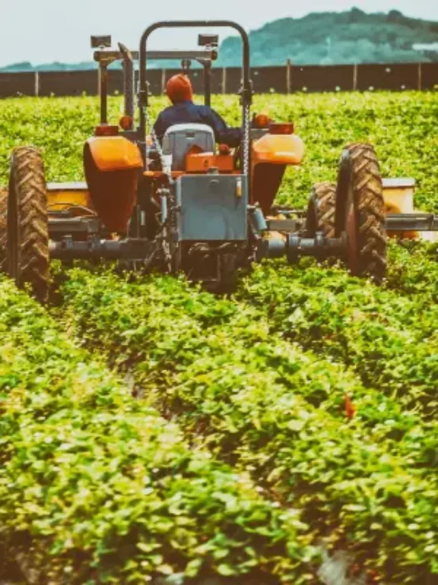 Conheça o Segredo da Incrível produção de Soja do Brasil