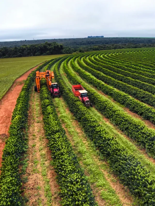 Imperdível 6 Curiosidades do Agronegócio Brasileiro