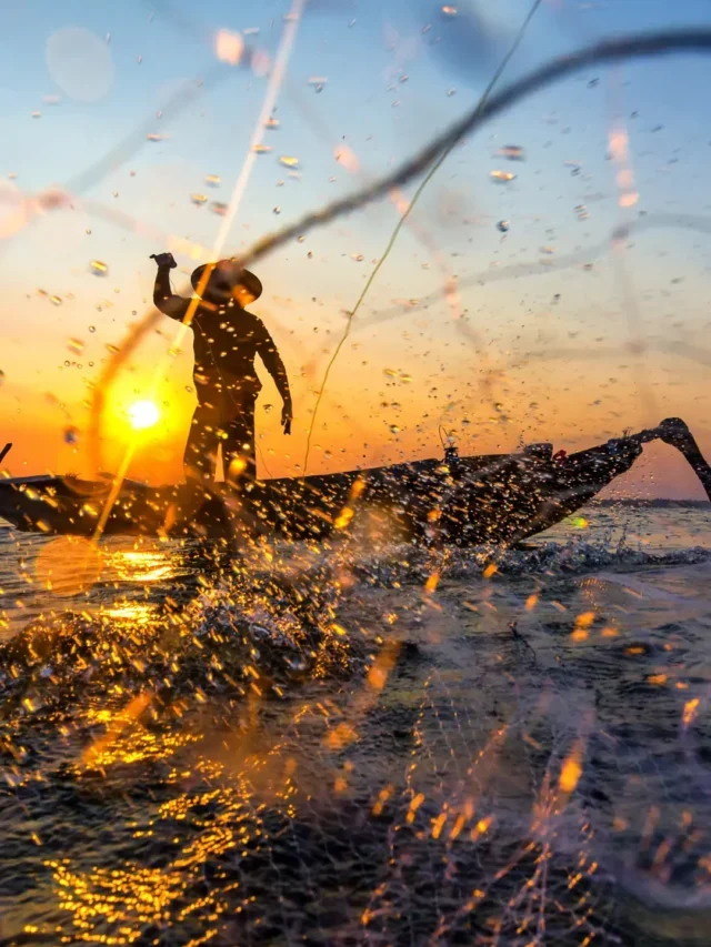 Segredo do Pescador Amador ao Profissional Confira Agora