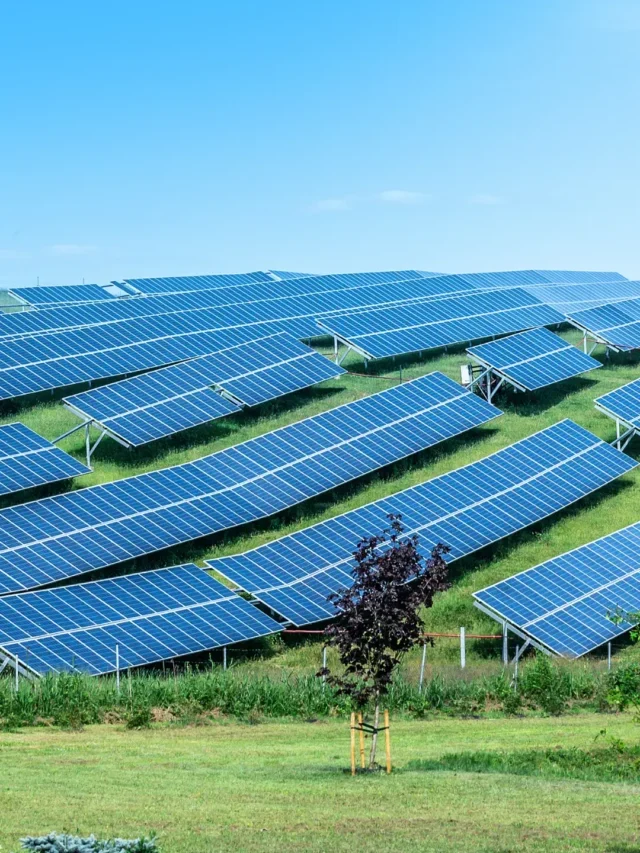 Segredo do uso da Energia Solar na Agricultura