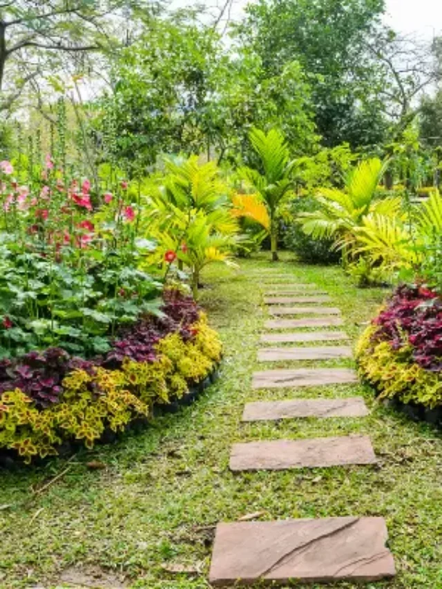 COMO CULTIVAR E TER UM JARDIM INCRÍVEL E FLORIDO EM CASA