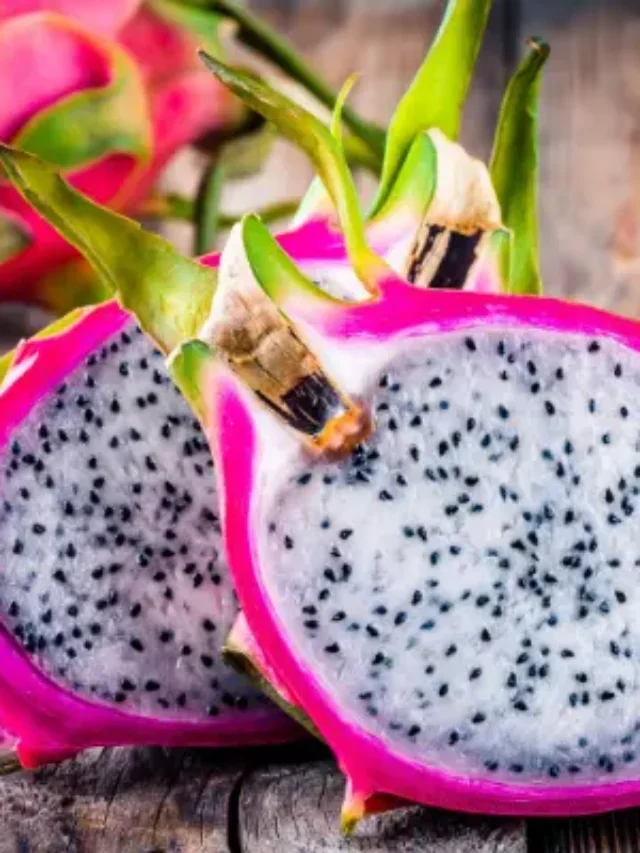 CONHEÇA O MÉTODO MAIS SIMPLES E FÁCIL DE CULTIVAR PITAYA VEM CONFERIR