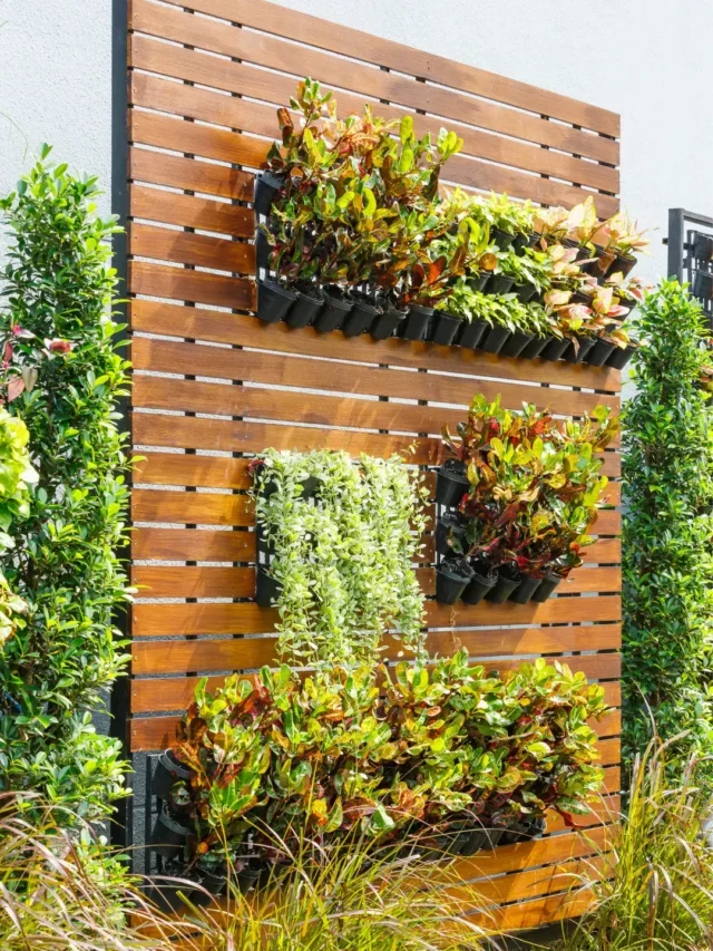 VOCÊ SABE QUAIS AS PLANTAS CERTAS PARA O JARDIM VERTICAL?