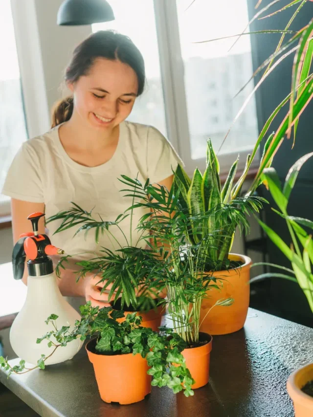 COMO TER UM JARDIM NO APARTAMENTO? CONFIRA ESTA TÉCNICA SIMPLES