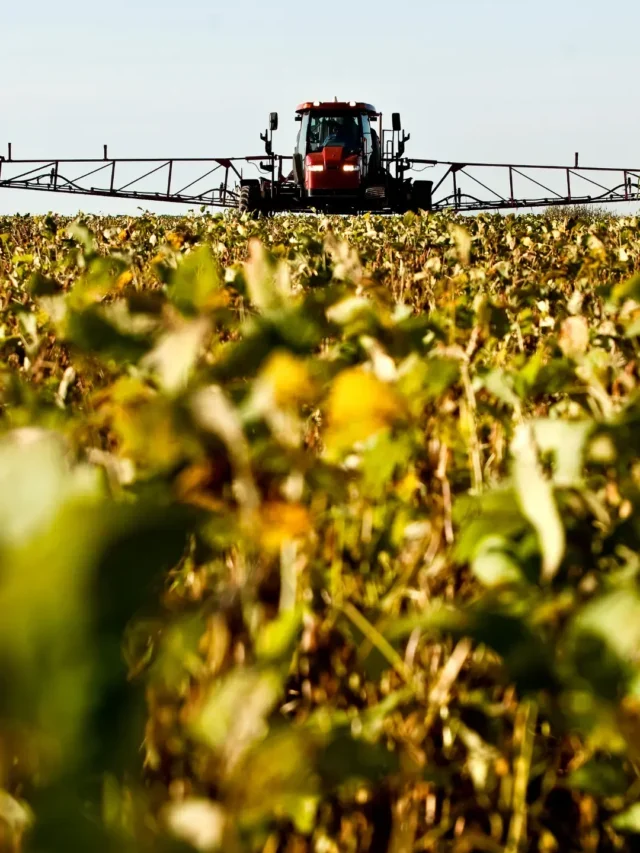 QUAL O PANORAMA DO MERCADO DA SOJA NO BRASIL PARA 2022? VEM CONFERIR