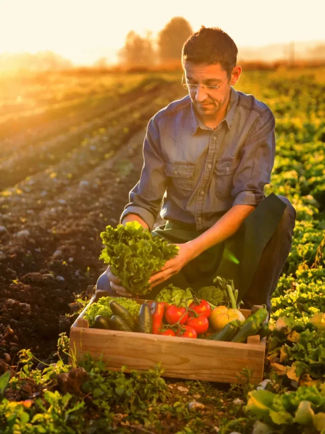 QUE TAL TER UMA HORTA ORGÂNICA INCRÍVEL EM CASA? CONFIRA PASSO A PASSO