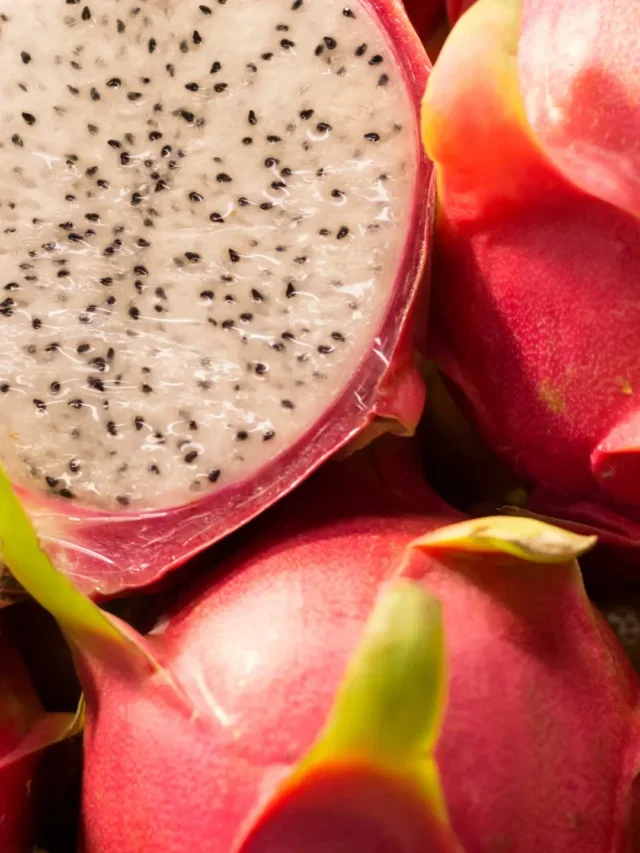 QUE TAL TER PITAYA CRESCENDO RÁPIDO? SAIBA CULTIVAR DA MANEIRA CORRETA