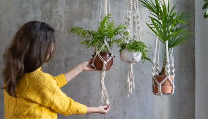 Ideias de decoração com plantas pendentes incríveis